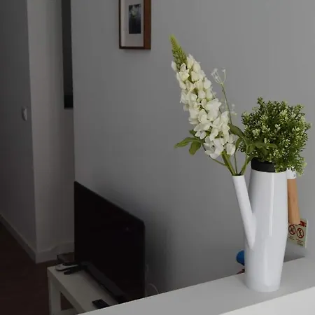 Tb_Apartments * セトゥーバル